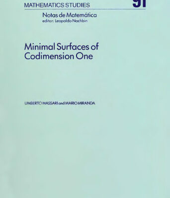 خرید و دانلود نسخه کامل کتاب Minimal Surfaces of Codimension One