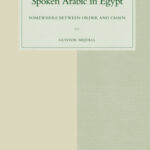 خرید و دانلود نسخه کامل کتاب Mixed Styles in Spoken Arabic in Egypt: Somewhere Between Order and Chaos (Studies in Semitic Languages and Linguistics)