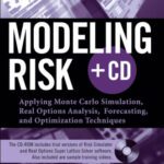 خرید و دانلود نسخه کامل کتاب Modeling Risk