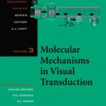 خرید و دانلود نسخه کامل کتاب Molecular Mechanisms in Visual Transduction (Handbook of Biological Physics, Volume 3)