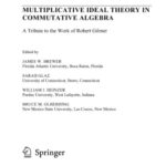 خرید و دانلود نسخه کامل کتاب Multiplicative ideal theory in commutative algebra: a tribute to the work of Robert Gilmer