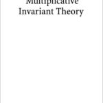 خرید و دانلود نسخه کامل کتاب Multiplicative Invariant Theory