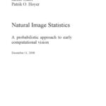 خرید و دانلود نسخه کامل کتاب Natural image statistics: A probabilistic approach to early computational vision