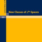 خرید و دانلود نسخه کامل کتاب New Classes of Lp-Spaces