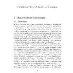 خرید و دانلود نسخه کامل کتاب Nichtlineare hyperbolische Gleichungen 001