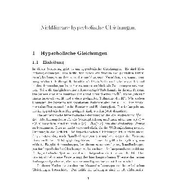 خرید و دانلود نسخه کامل کتاب Nichtlineare hyperbolische Gleichungen 001