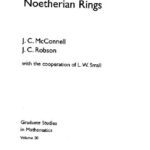 خرید و دانلود نسخه کامل کتاب Noncommutative Noetherian rings