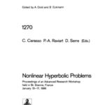 خرید و دانلود نسخه کامل کتاب Nonlinear Hyperbolic Problems