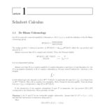 خرید و دانلود نسخه کامل کتاب Notes to the lectures of Nicolas Ressayre [Schubert calculus]