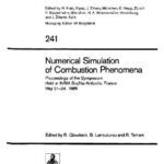 خرید و دانلود نسخه کامل کتاب Numerical Simulation of Combustion Phenomena