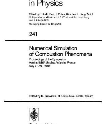 خرید و دانلود نسخه کامل کتاب Numerical Simulation of Combustion Phenomena