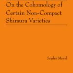خرید و دانلود نسخه کامل کتاب On the cohomology of certain non-compact Shimura varieties