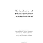 خرید و دانلود نسخه کامل کتاب On the structure of Foulkes modules for the symmetric group [PhD thesis]