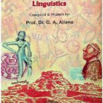 خرید و دانلود نسخه کامل کتاب Papers on Sindhi Language and Linguistics
