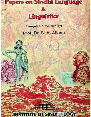 خرید و دانلود نسخه کامل کتاب Papers on Sindhi Language and Linguistics