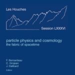 خرید و دانلود نسخه کامل کتاب Particle Physics and Cosmology: The Fabric of Spacetime