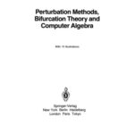خرید و دانلود نسخه کامل کتاب Perturbation methods, bifurcation theory and computer algebra