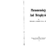 خرید و دانلود نسخه کامل کتاب Phenomenology and Metaphysics
