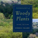 خرید و دانلود نسخه کامل کتاب Physiology of Woody Plants, 3rd edition