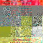 خرید و دانلود نسخه کامل کتاب Probabilistic Boolean Networks: The Modeling and Control of Gene Regulatory Networks