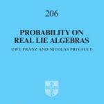 خرید و دانلود نسخه کامل کتاب Probability on Real Lie Algebras