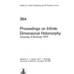 خرید و دانلود نسخه کامل کتاب Proceedings on Infinite Dimensional Holomorphy