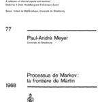 خرید و دانلود نسخه کامل کتاب Processus de Markov, la frontiere de Martin