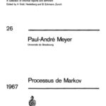 خرید و دانلود نسخه کامل کتاب Processus de Markov