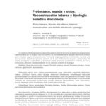 خرید و دانلود نسخه کامل کتاب Protovasco, munda y otros: Reconstrucción interna y tipología holística diacrónica