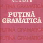 خرید و دانلود نسخه کامل کتاب Putina gramatica