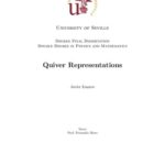 خرید و دانلود نسخه کامل کتاب Quiver Representations