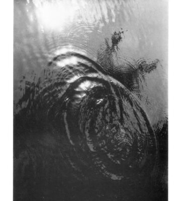 خرید و دانلود نسخه کامل کتاب Random Sequences [PhD Thesis]