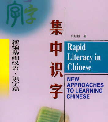 خرید و دانلود نسخه کامل کتاب Rapid Literacy in Chinese (Mandarin Chinese and English Edition)