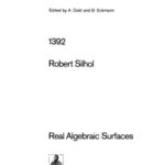 خرید و دانلود نسخه کامل کتاب Real Algebraic Surfaces