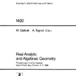 خرید و دانلود نسخه کامل کتاب Real Analytic and Algebraic Geometry