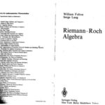 خرید و دانلود نسخه کامل کتاب Riemann-Roch Algebra