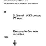 خرید و دانلود نسخه کامل کتاب Riemannsche Geometrie im Grossen