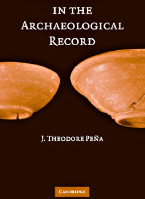 خرید و دانلود نسخه کامل کتاب Roman Pottery in the Archaeological Record Architecture Design