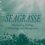 خرید و دانلود نسخه کامل کتاب Seagrasses: Monitoring, Ecology, Physiology, and Management (Marine Science Series)
