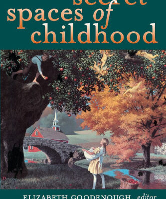 خرید و دانلود نسخه کامل کتاب Secret Spaces of Childhood
