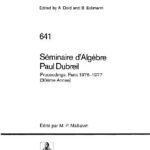 خرید و دانلود نسخه کامل کتاب Seminaire d’Algebre Paul Dubreil