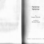 خرید و دانلود نسخه کامل کتاب Signeponge-Signsponge