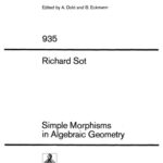 خرید و دانلود نسخه کامل کتاب Simple Morphisms in Algebraic Geometry