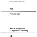 خرید و دانلود نسخه کامل کتاب Simple Morphisms in Algebraic Geometry