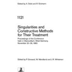 خرید و دانلود نسخه کامل کتاب Singularities and Constructive Methods for Their Treatment