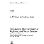 خرید و دانلود نسخه کامل کتاب Singularities, Representation of Algebras, and Vector Bundles