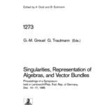 خرید و دانلود نسخه کامل کتاب Singularities, Representation of Algebras and Vector Bundles