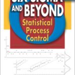 خرید و دانلود نسخه کامل کتاب Six Sigma and Beyond: Statistical Process Control (Vol. 4)
