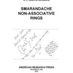 خرید و دانلود نسخه کامل کتاب Smarandache Non-Associative Rings