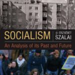 خرید و دانلود نسخه کامل کتاب Socialism: An Analysis of Its Past and Future
